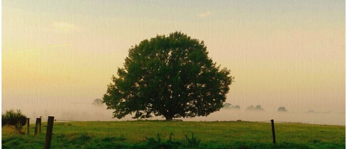 20160403143622-10304d73